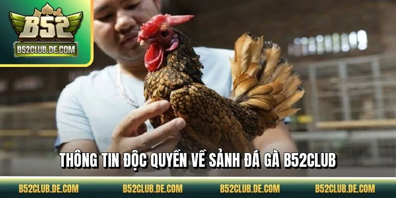 Thông tin độc quyền về sảnh đá gà B52CLUB