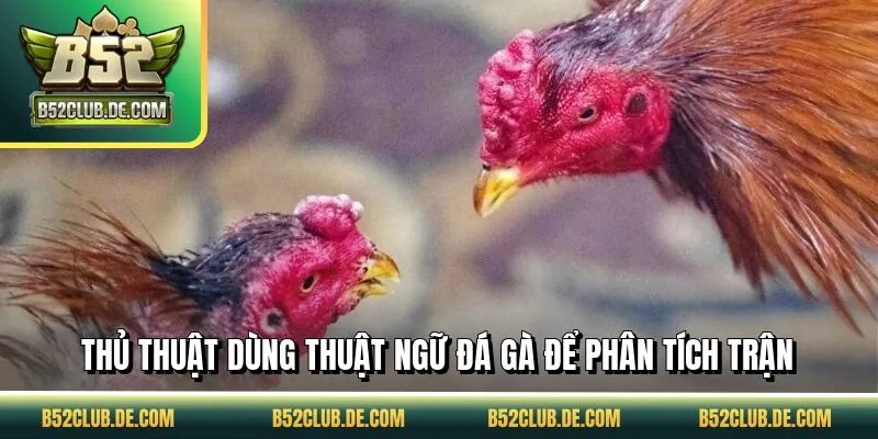 Thủ thuật dùng thuật ngữ đá gà để phân tích trận